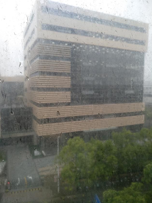 雨 文/海南（图2）