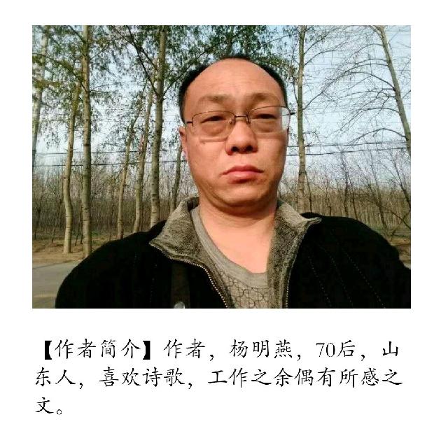 【诗生活】夏日感怀 文/杨明燕(图2)