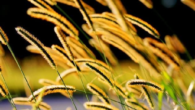 李道缘诗词雅韵《秋时节》第九期（总第371期）选刊的作品（图2）