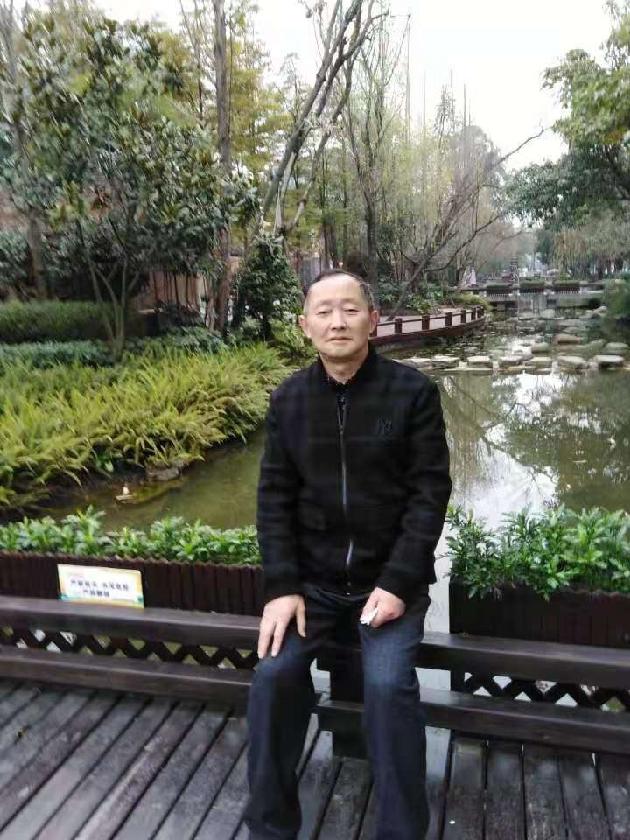 【诗生活】榕树下的鸟群(外四首) 文/龙中奇(图2)