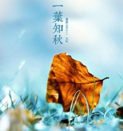 【诗生活】立秋 文/子竹