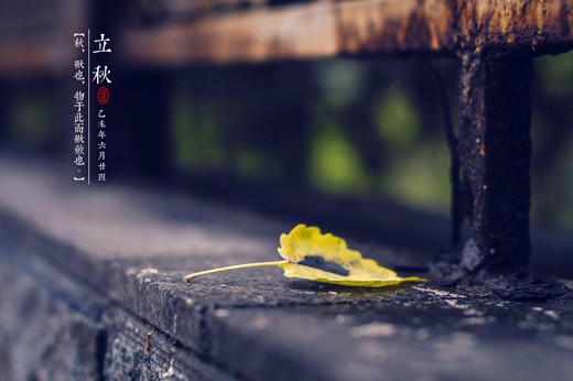 【诗生活】立秋 文/明月心