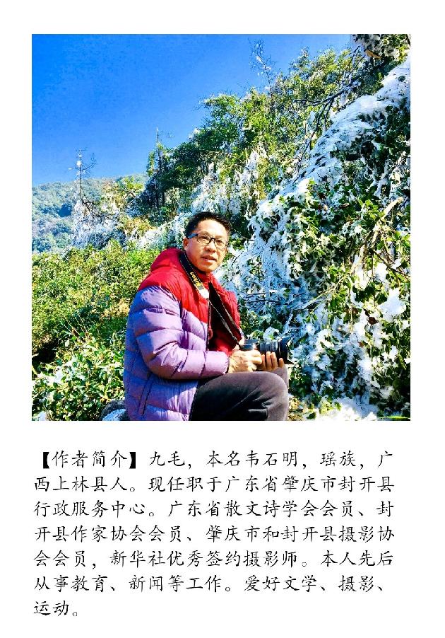 【诗生活】鹤舞立秋 文/九毛（广东肇庆）（图2）