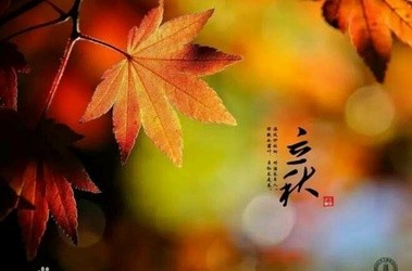 【诗生活】今日立秋 文/孤独与快乐