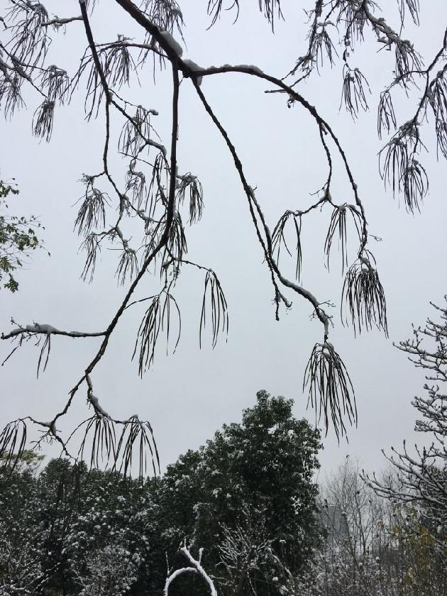八声甘州 望天穹 文/陈荣富