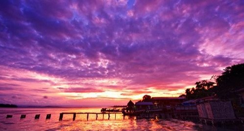岁月 旭华浩林