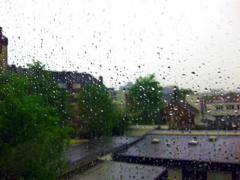 小雨 文/高山之鹰（图2）