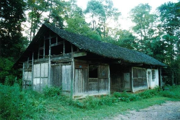 海东青现代诗讲学班专栏:老家的木屋(外一首) 作者:美兰子