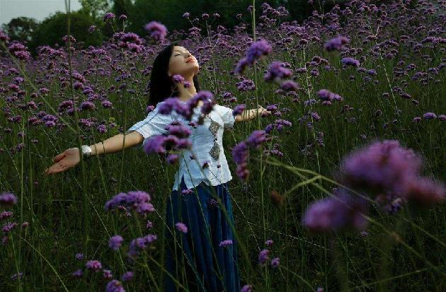 夏之梦 (外2首) 文/赵正霞