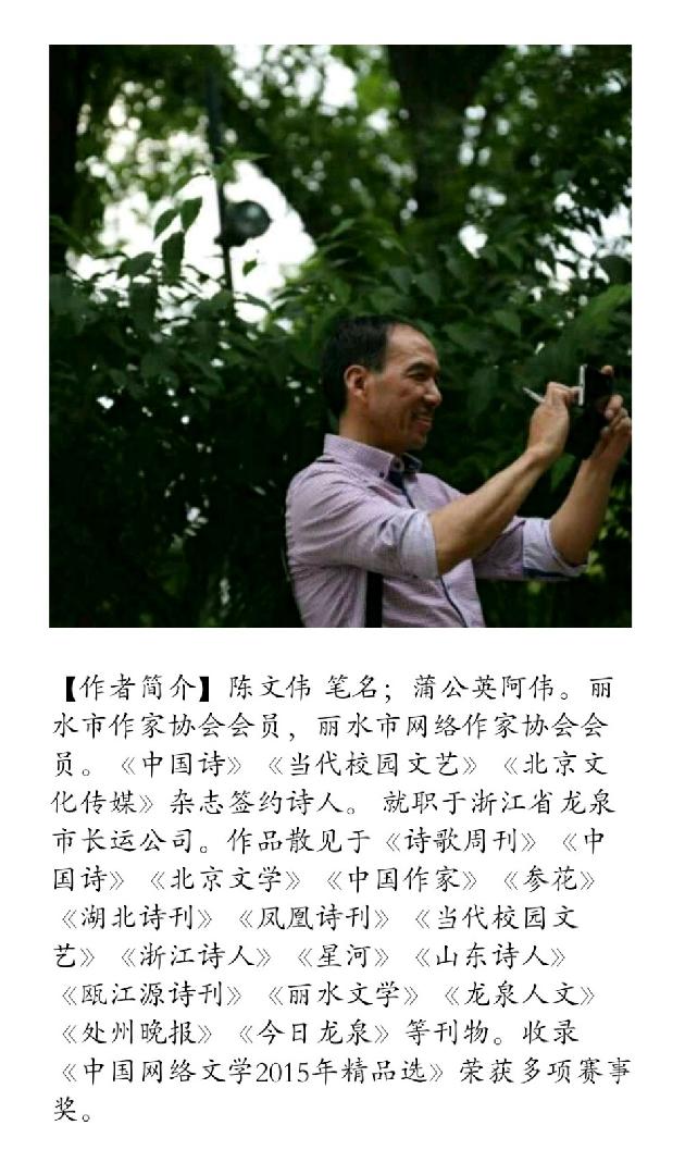 【诗生活】蝉 文/蒲公英阿伟（图2）
