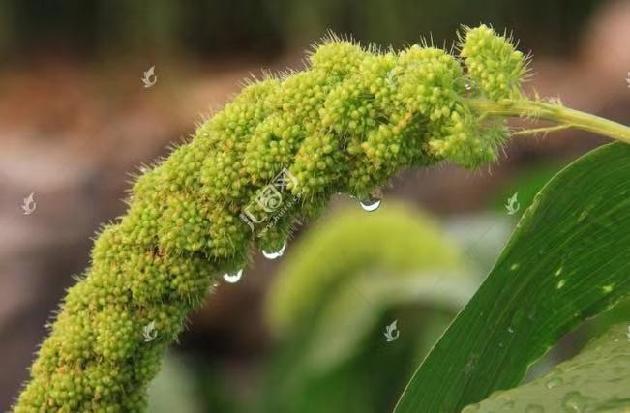 七律‖立秋感怀(外二首) 文/天阁（图3）
