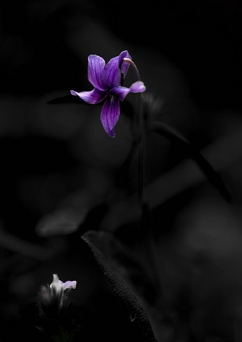 那些光阴里的故事 文/李沛菊（图10）