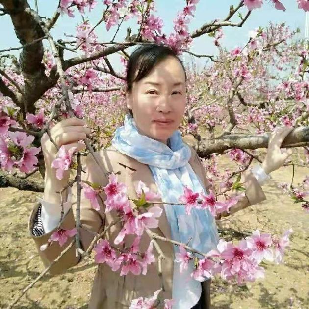 月是故乡明 文/梅兆芹（图5）