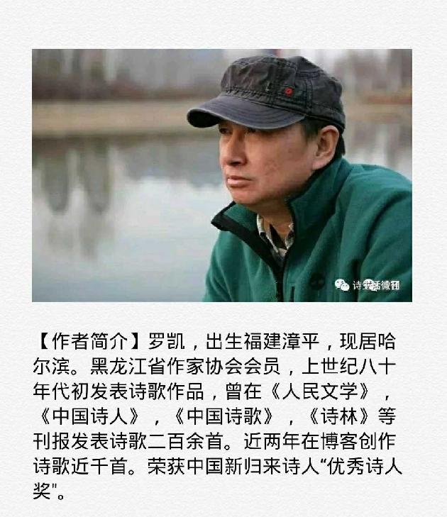 【诗生活】实力诗人‖罗凯‖那片油菜黄让我褪色（图2）