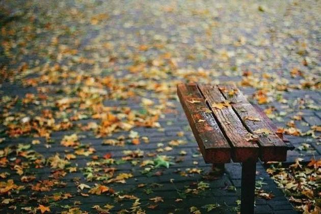 秋怅 文/俊彪（图2）