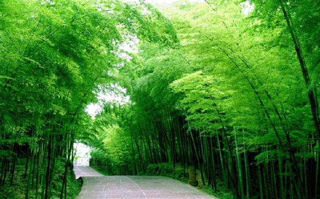 海东青现代诗讲学班专栏:纸船(外一首) 作者:醉红颜（图2）