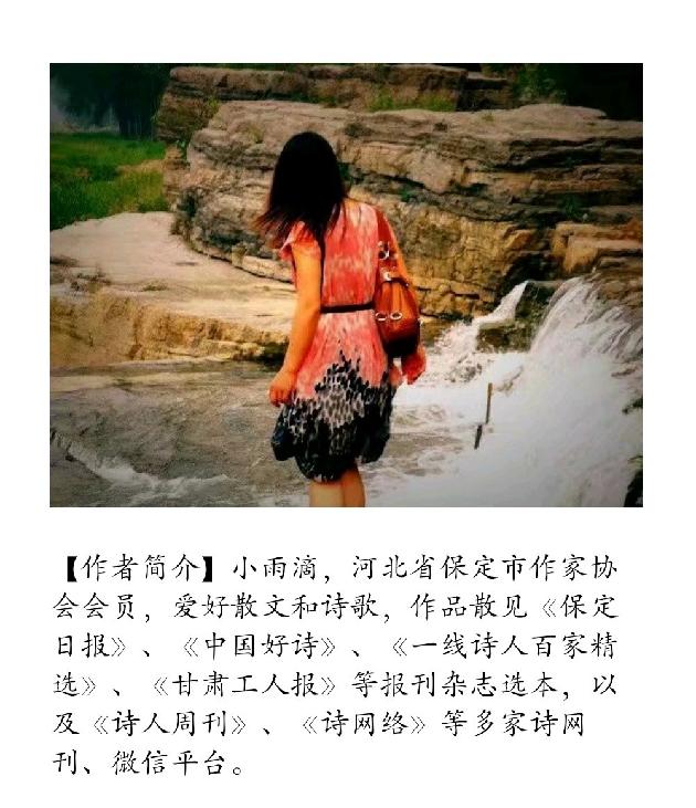 【诗生活】推荐诗人‖小雨滴（图2）
