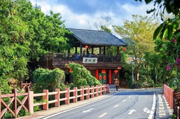 水调歌头 中村春韵 作者:愚叟心歌