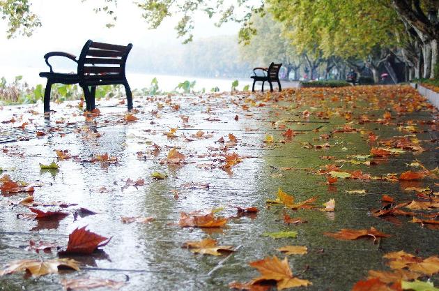 雨落秋园 文/赵正霞（图2）