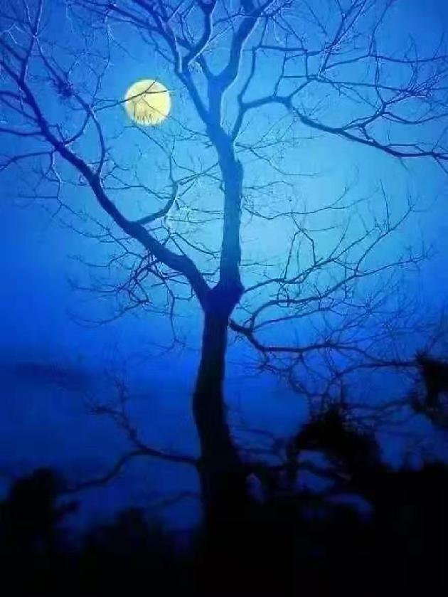 秋夜 文/倪志平（图3）