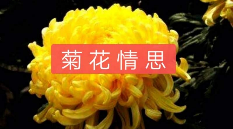 picname