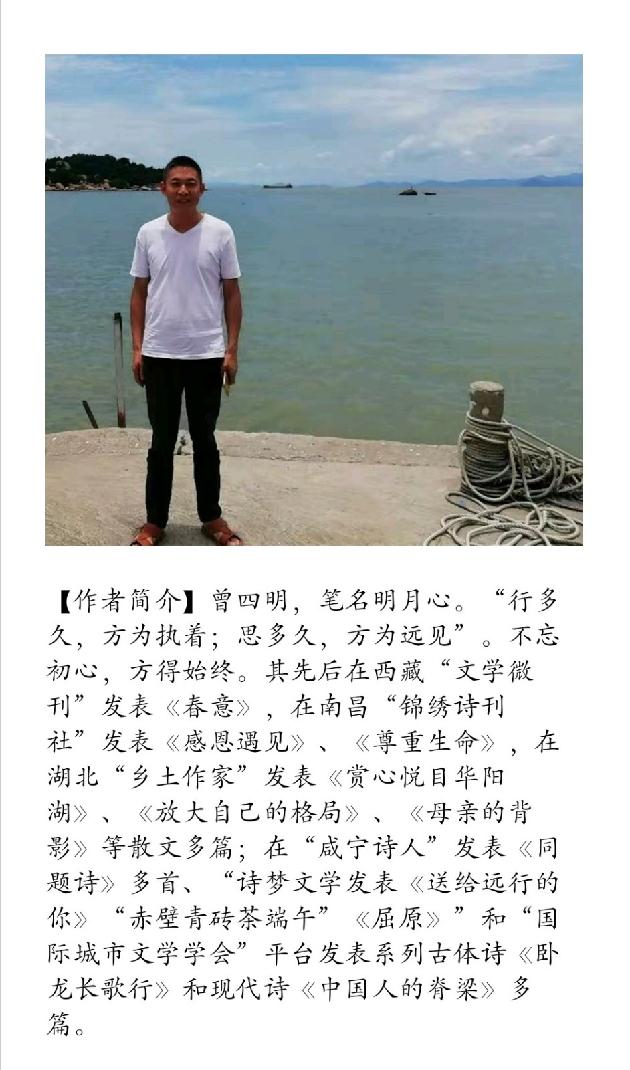 【诗生活】诗歌花园‖另一座城市 文/明月心（图2）