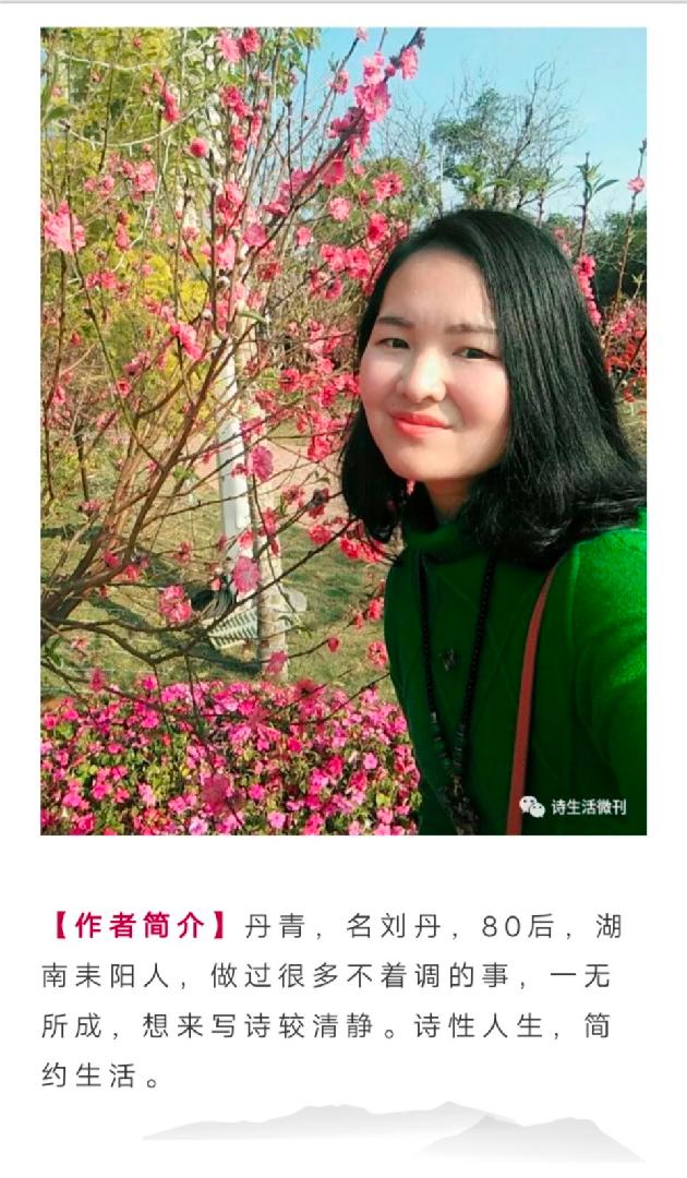 【诗生活】诗歌花园‖初见玻璃桥 文/丹青（图2）