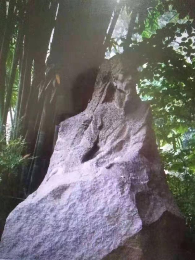 【诗生活】诗歌花园‖杜甫(外一首) 文/彭郁青（图2）