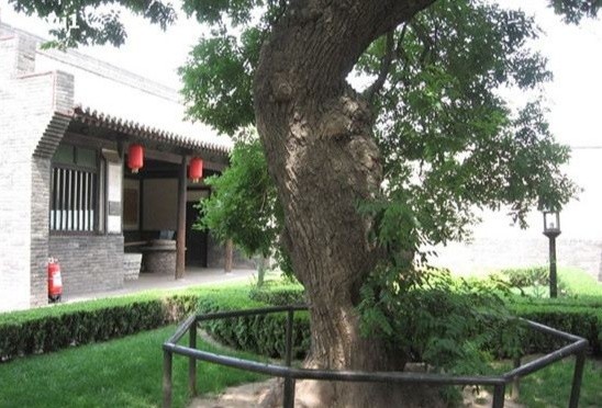 夏牧作品精选散文:望断槐树庄 (一) ——文/夏牧（图6）