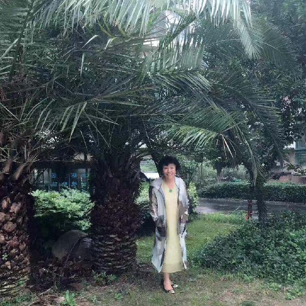 淡定 文/百灵鸟（图2）