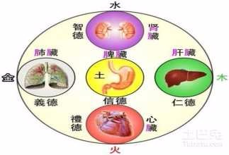 17.《性理集成》五行（张雅轩）（图4）
