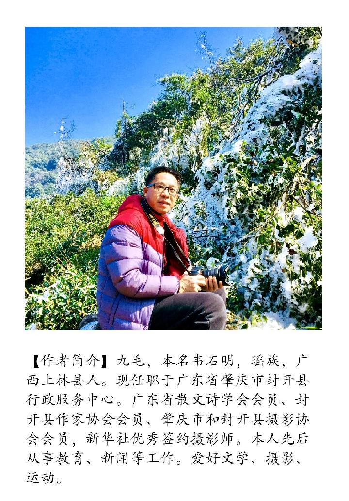 【诗生活】实力诗人‖九毛‖浅秋深梦的故乡(四章)(图2)