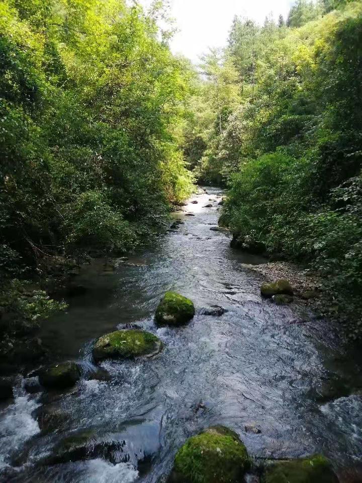 安阳.南海泉 作者:冬天的梅（图2）