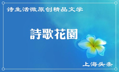 【诗生活】诗歌花园‖旧书包 文/一夜无语