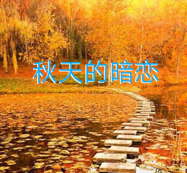 picname