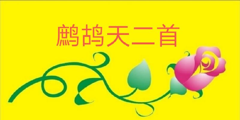 picname