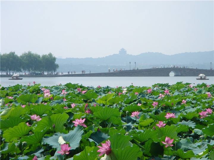 西湖采风:话红颜 文/百灵鸟（图2）