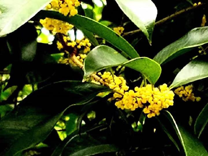 教师颂歌——献给辛勤的园丁 文/程书华（图3）