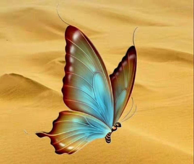 picname