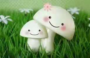 picname
