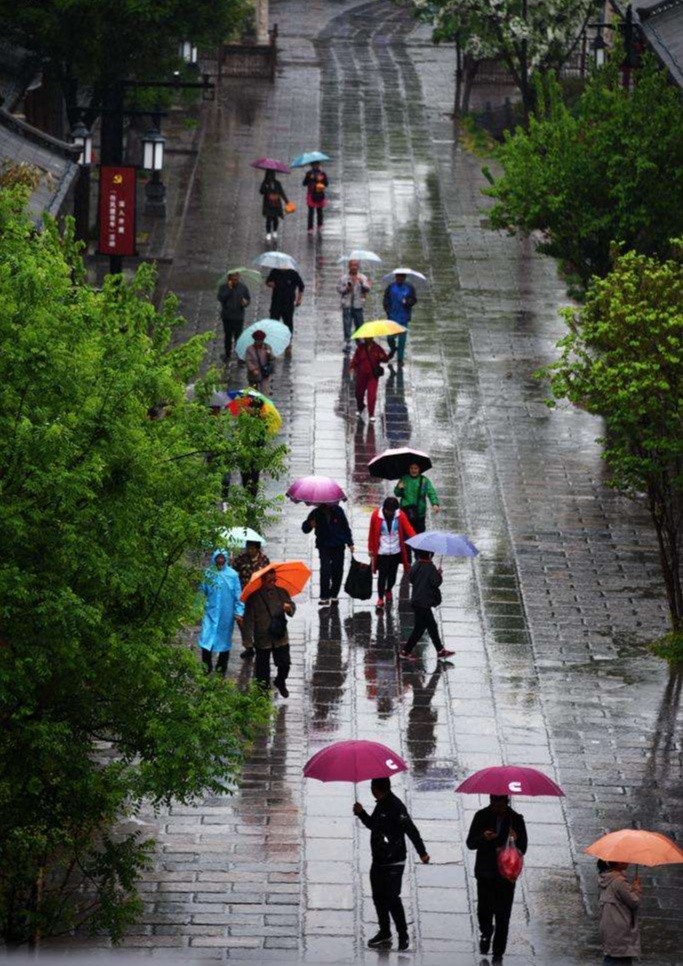 雨中行 文/雪松 诗韵