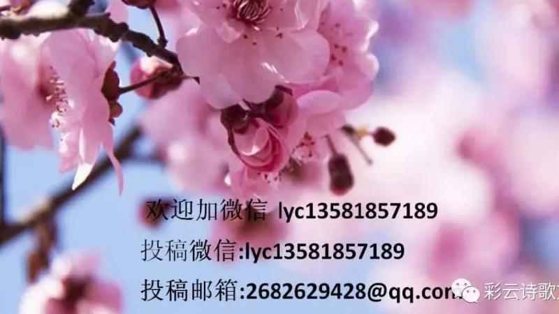 picname