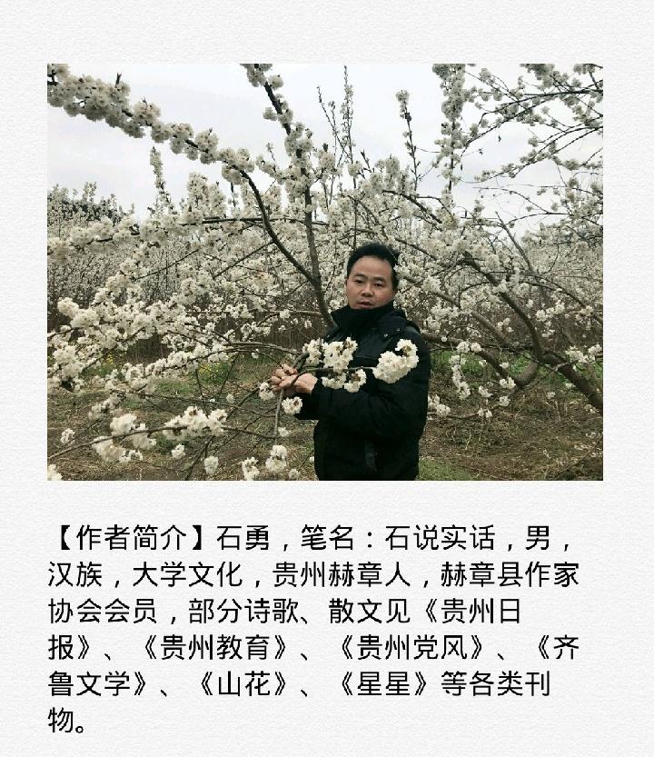 【诗生活】诗歌花园‖驻村梦想 文/石勇（贵州赫章）（图2）