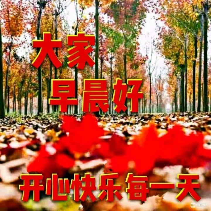 快乐星期天 文/新华人（图2）