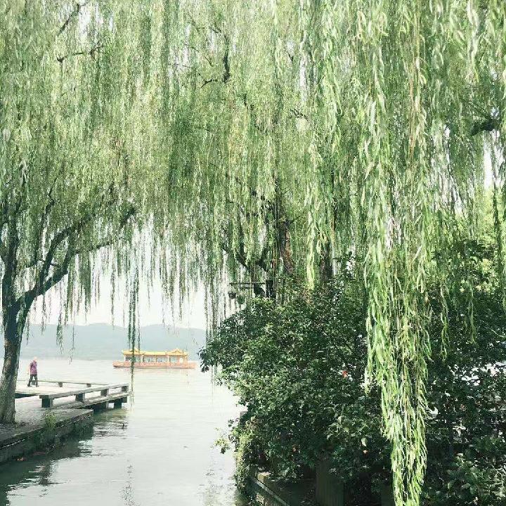 晨晓 文/冬天的梅