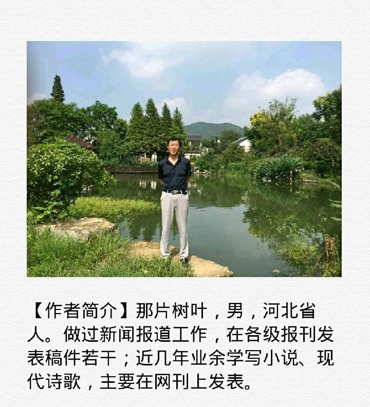 【诗生活】短诗精选‖白露 文/那片树叶（图2）