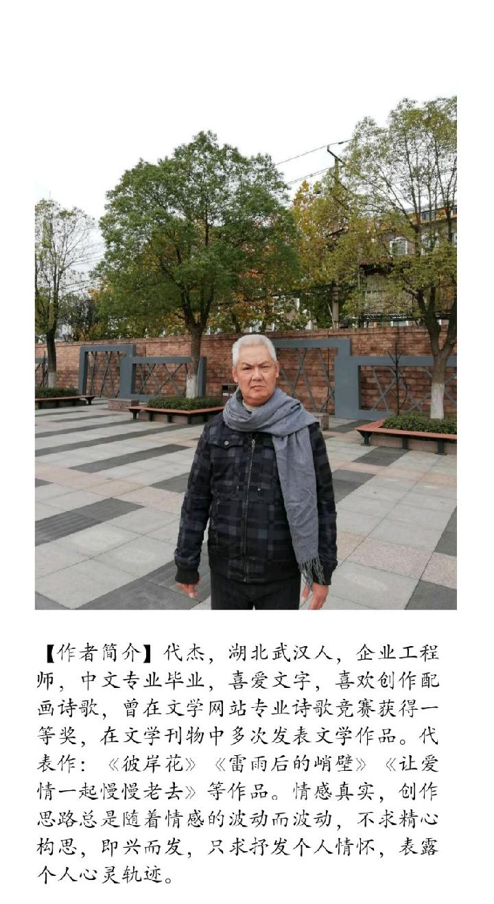 【诗生活】诗歌花园‖白露 文/守望幸福（图2）