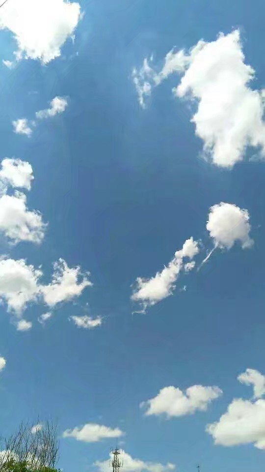 1568076935232