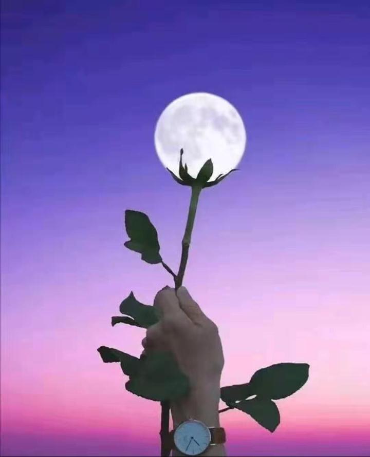 中秋节 文/高立中