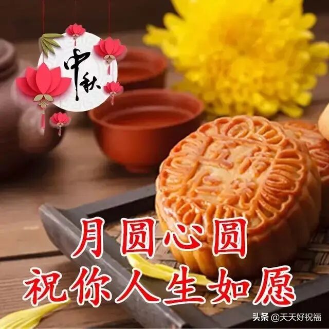 -a74d6d53f90a037